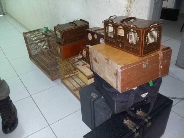 10342805_1818977294996200_6617681660180770755_n