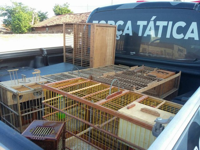 12688371_1818977321662864_7998537660383928716_n