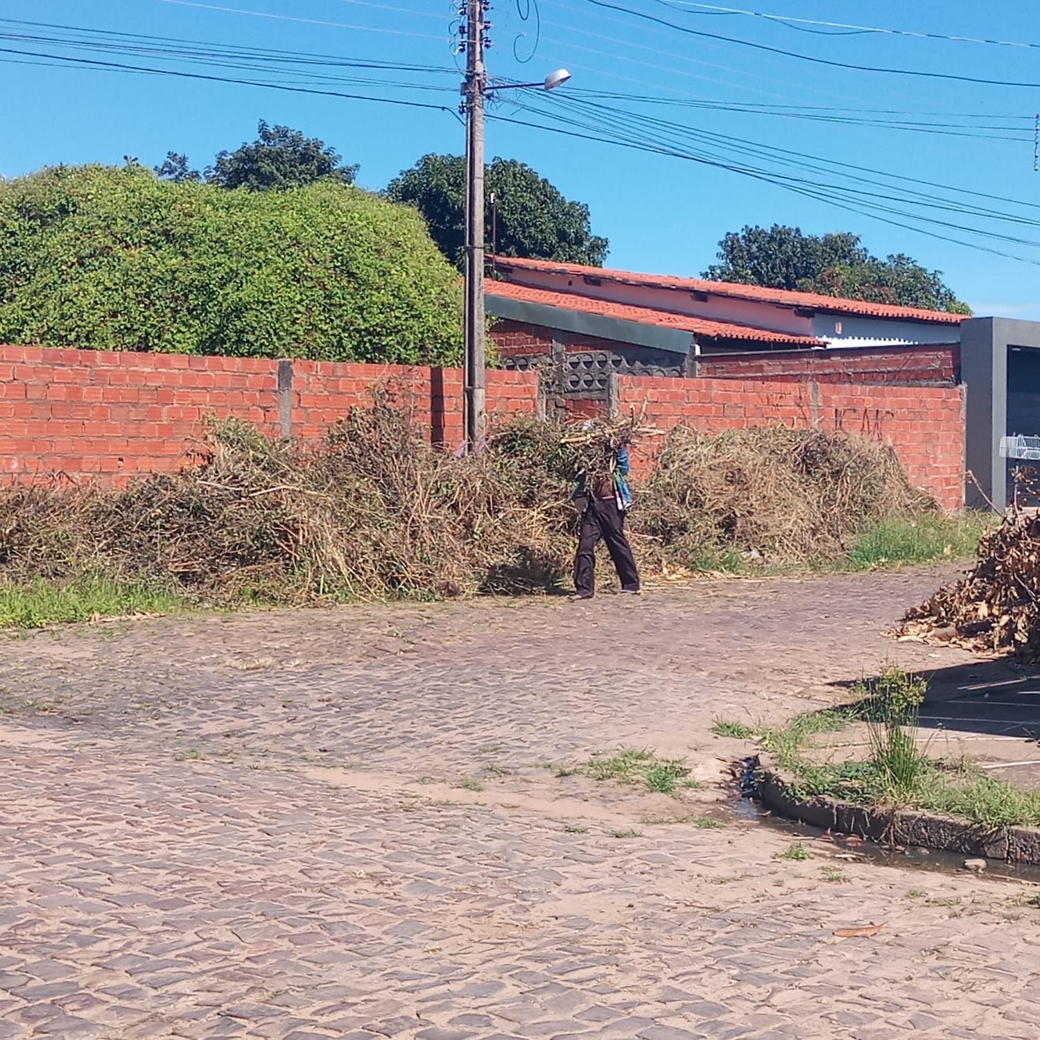 A Prefeitura pede a colaboração da população para não jogar lixo nas ruas