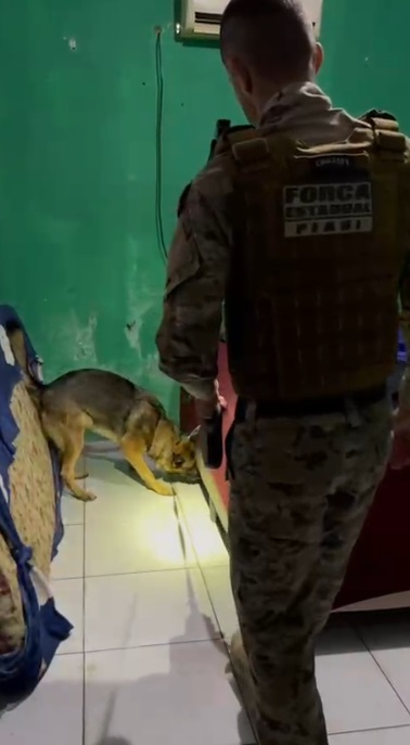 Suspeito de crimes violentos e de integrar facção é preso