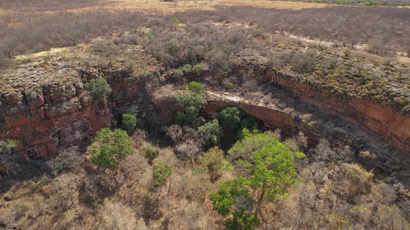 Lula anuncia R$ 60 milhões para recuperação da Caatinga e amplia parques no Piauí
