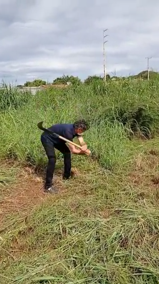 É babado: Valença do Piauí ou Colatina (ES) ?