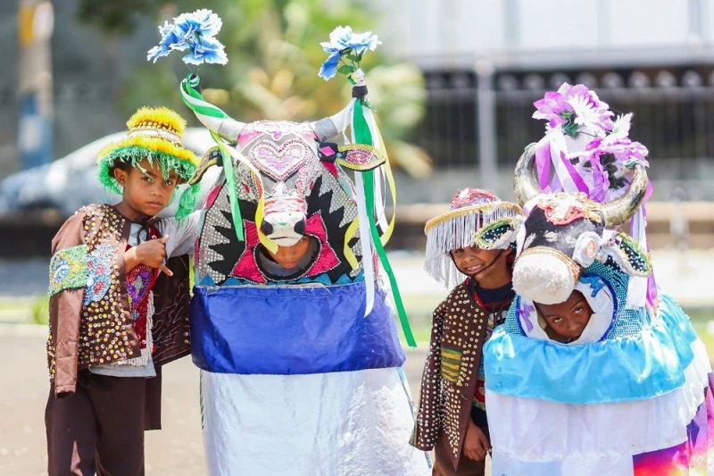 Bumba Meu Boi é reconhecido como Patrimônio Cultural Imaterial do Piauí