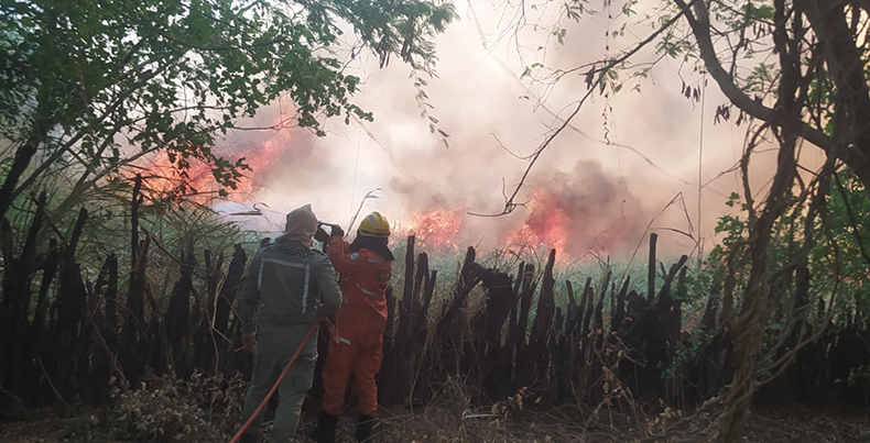 Mais de 50 combatentes e brigadistas atuam em incêndios na Serra das Confusões no Piauí