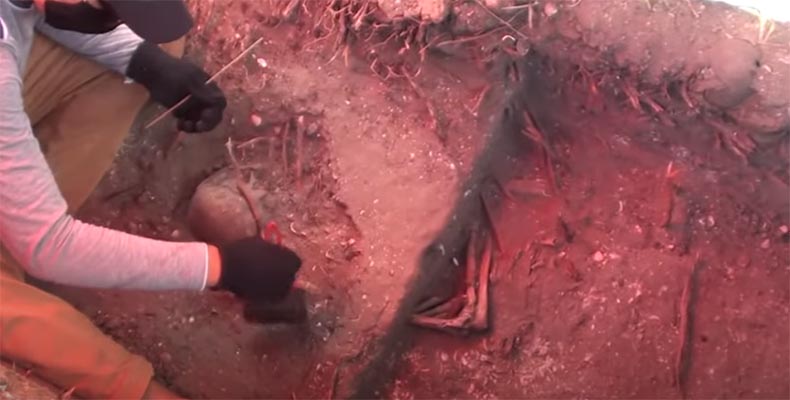 45 esqueletos e mais de 100 mil peças arqueológicas são encontrados em obra no Maranhão