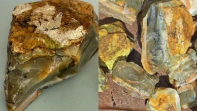 Opala verde misteriosa é encontrada no Piauí e amplia mapa das cidades produtoras da gema